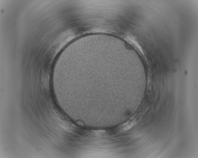 X0000088180108200706121701