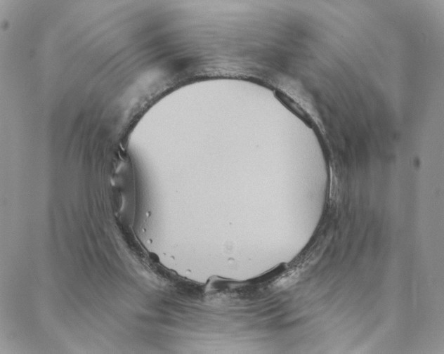 X0000088180109200706121701