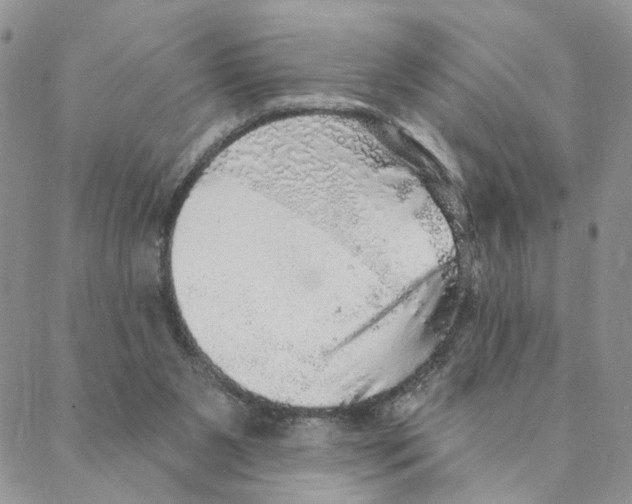 X0000088180111200706121701