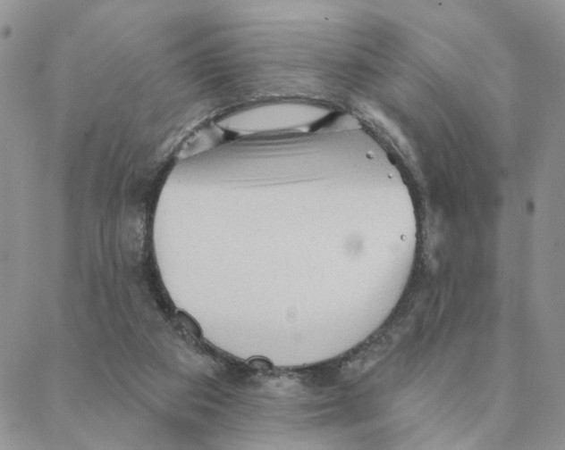 X0000088180113200706121701