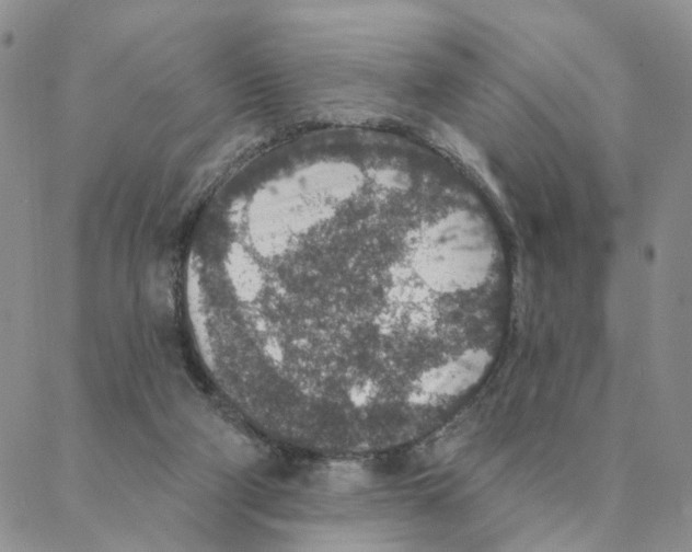 X0000088180114200706121701