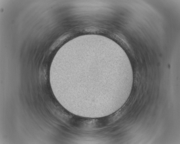 X0000088180116200706121700