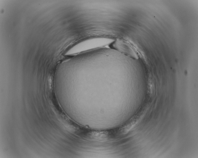 X0000088180117200706121700