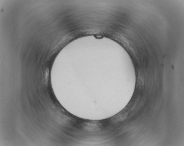 X0000088180118200706121700