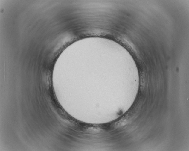 X0000088180119200706121700