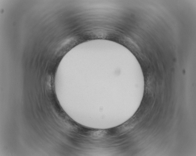 X0000088180122200706121700