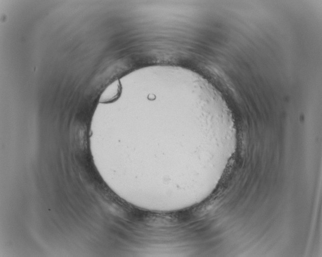 X0000088180123200706121700