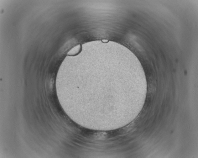 X0000088180124200706121700