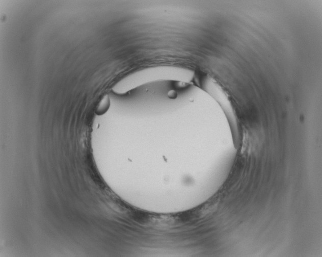 X0000088180125200706121700