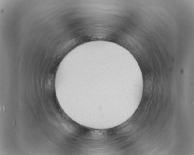 X0000088180126200706121700