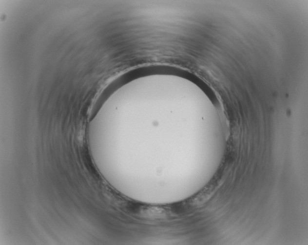 X0000088180129200706121700