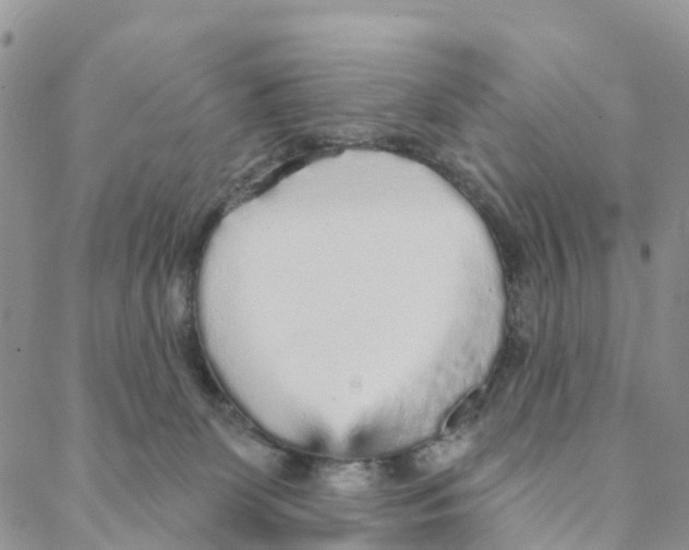 X0000088180131200706121700