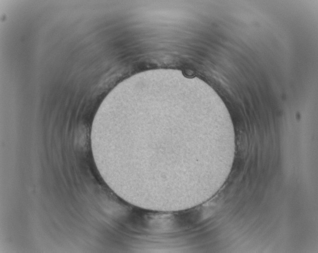 X0000088180132200706121700