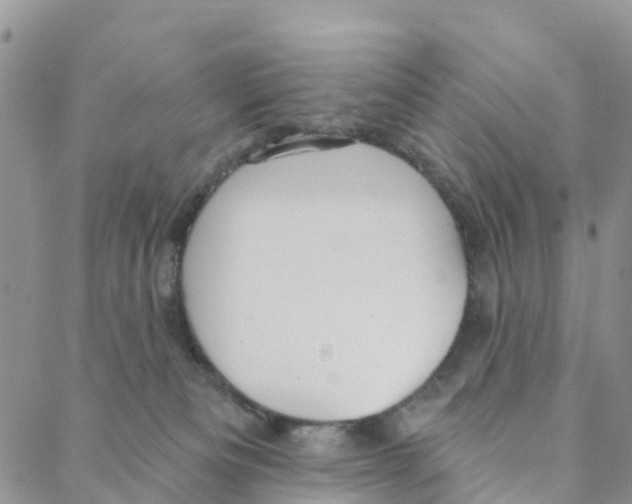 X0000088180133200706121700