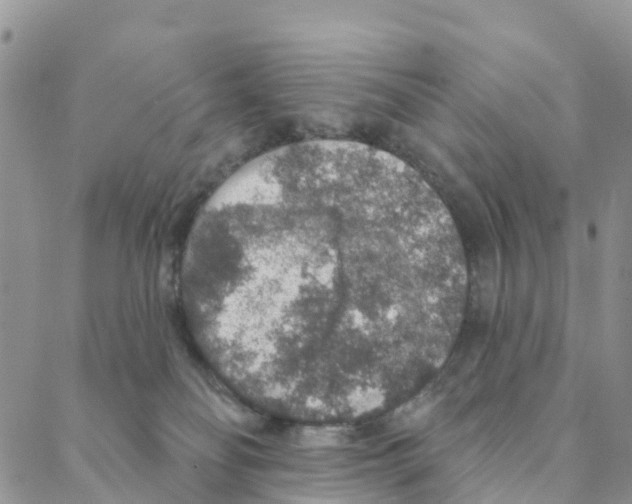 X0000088180134200706121700