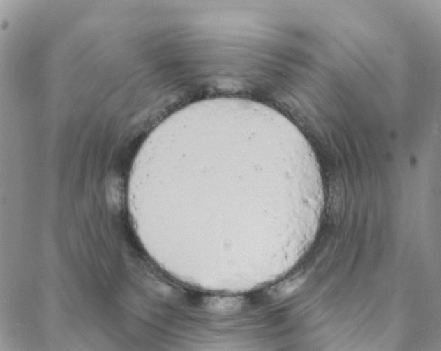 X0000088180135200706121700