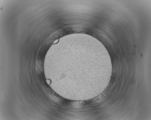 X0000088180136200706121700