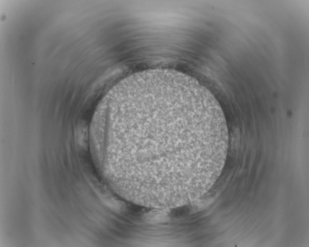 X0000088180138200706121700