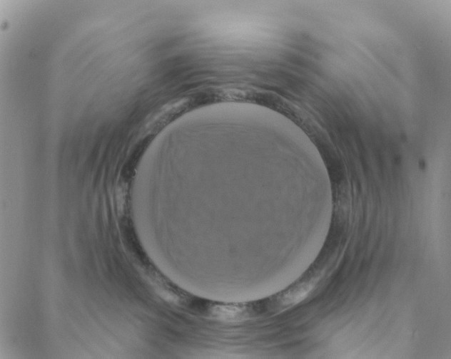 X0000088180139200706121700