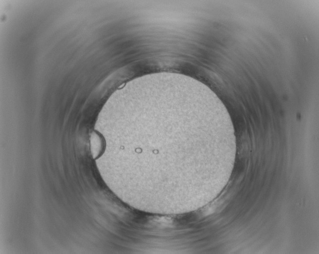 X0000088180140200706121700