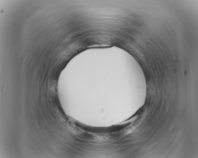 X0000088180141200706121700