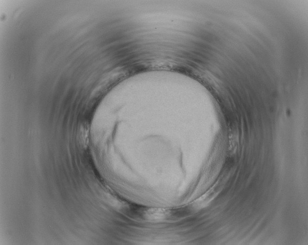 X0000088180142200706121700