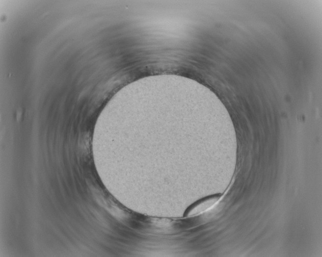 X0000088180144200706121700