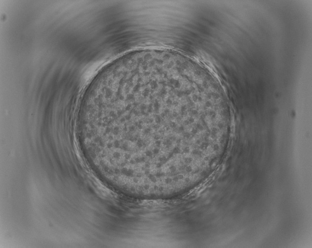 X0000088180145200706121659