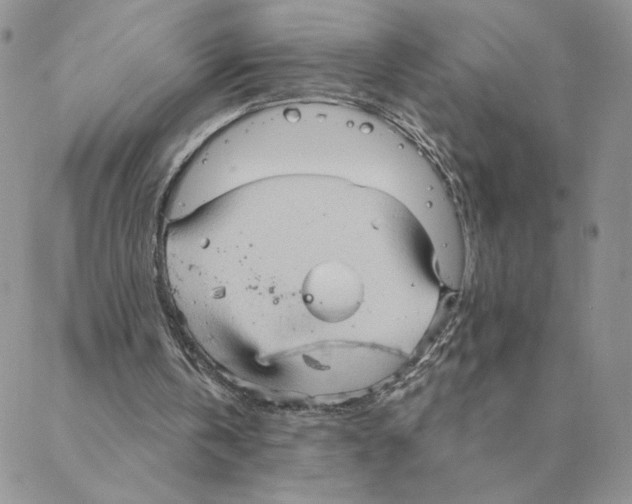 X0000088180146200706121659