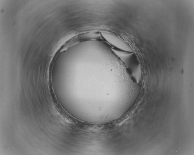 X0000088180148200706121659