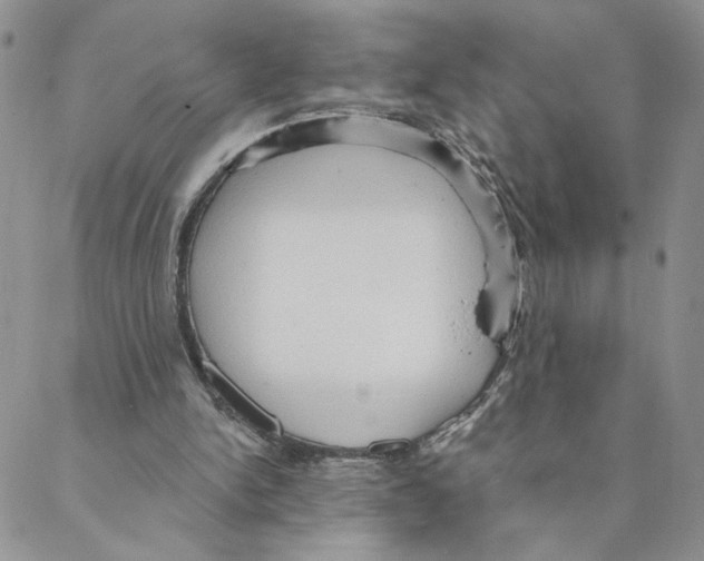 X0000088180150200706121659