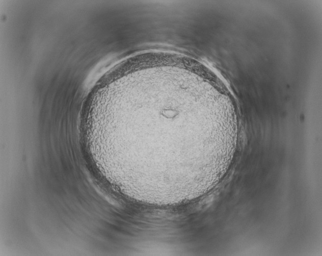 X0000088180151200706121659