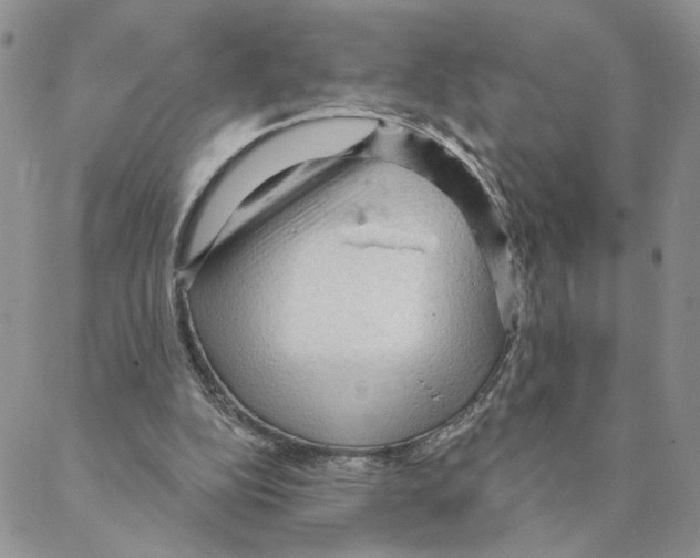 X0000088180152200706121659