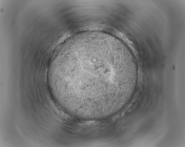 X0000088180153200706121659