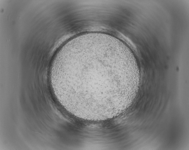 X0000088180155200706121659