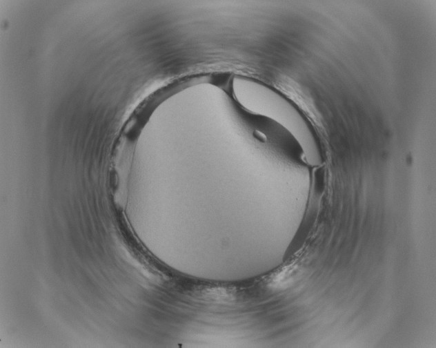 X0000088180156200706121659