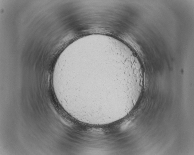 X0000088180157200706121659