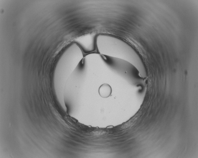 X0000088180158200706121659