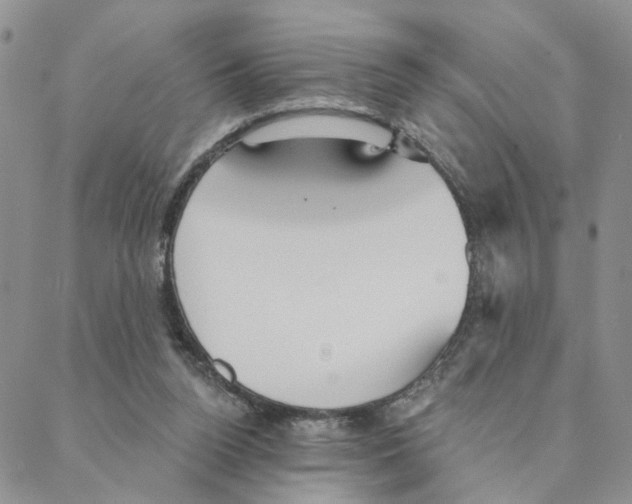 X0000088180160200706121659