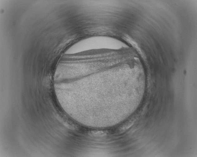 X0000088180161200706121700