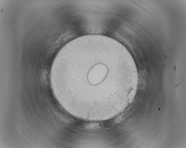 X0000088180162200706121700