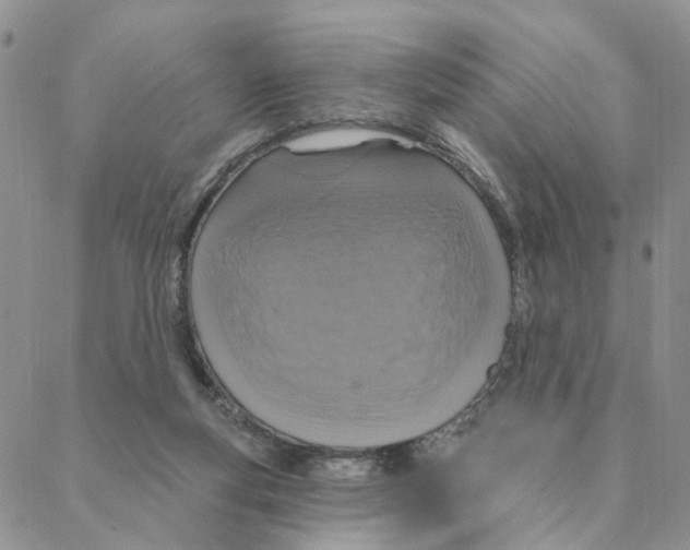 X0000088180163200706121700