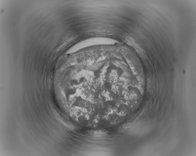 X0000088180165200706121700