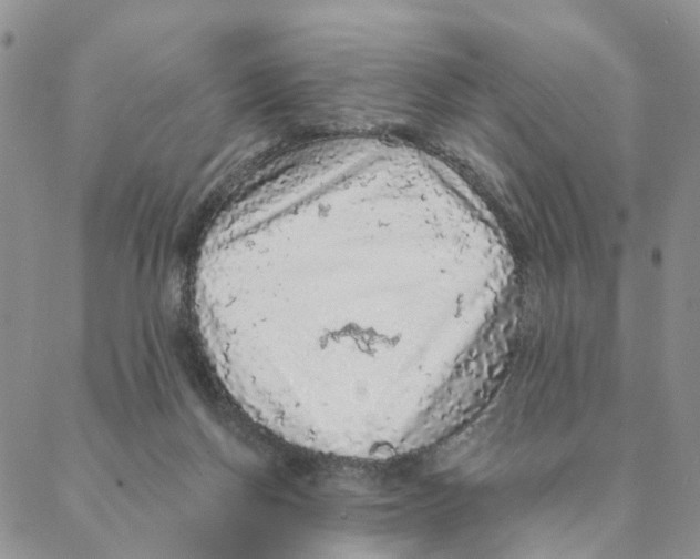 X0000088180166200706121700