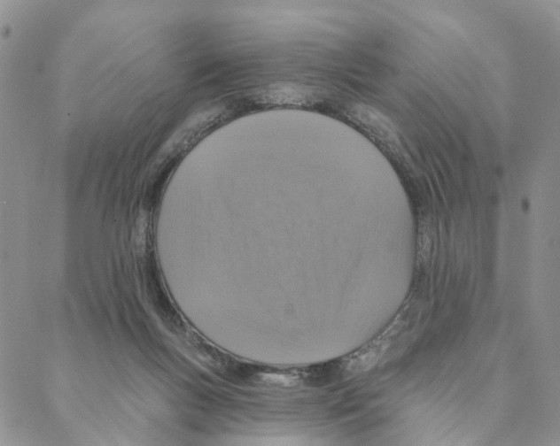 X0000088180167200706121700