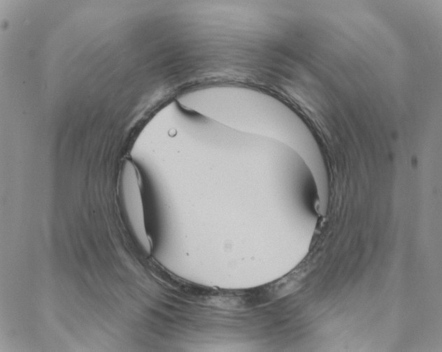 X0000088180168200706121700