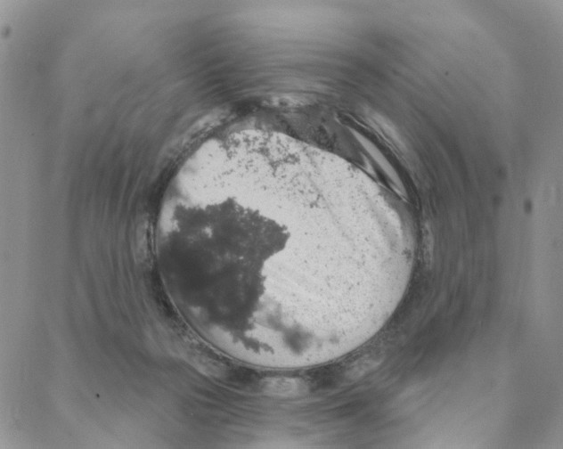 X0000088180169200706121700