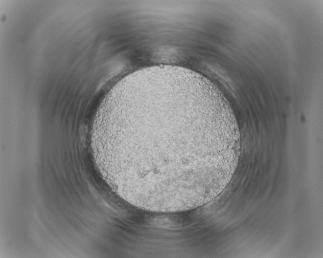 X0000088180171200706121700