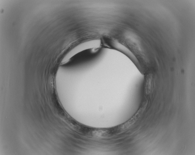 X0000088180172200706121700