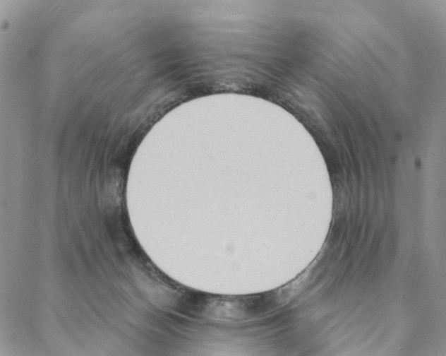 X0000088180174200706121700